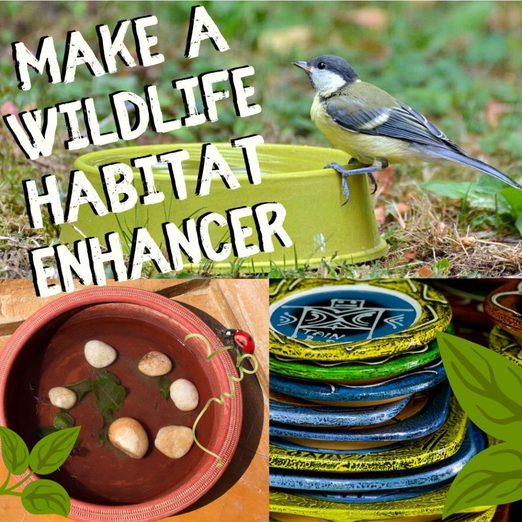 Bird sitting on bowl, water in plates for wildlife, Text: make a wildlife habitat enhancer