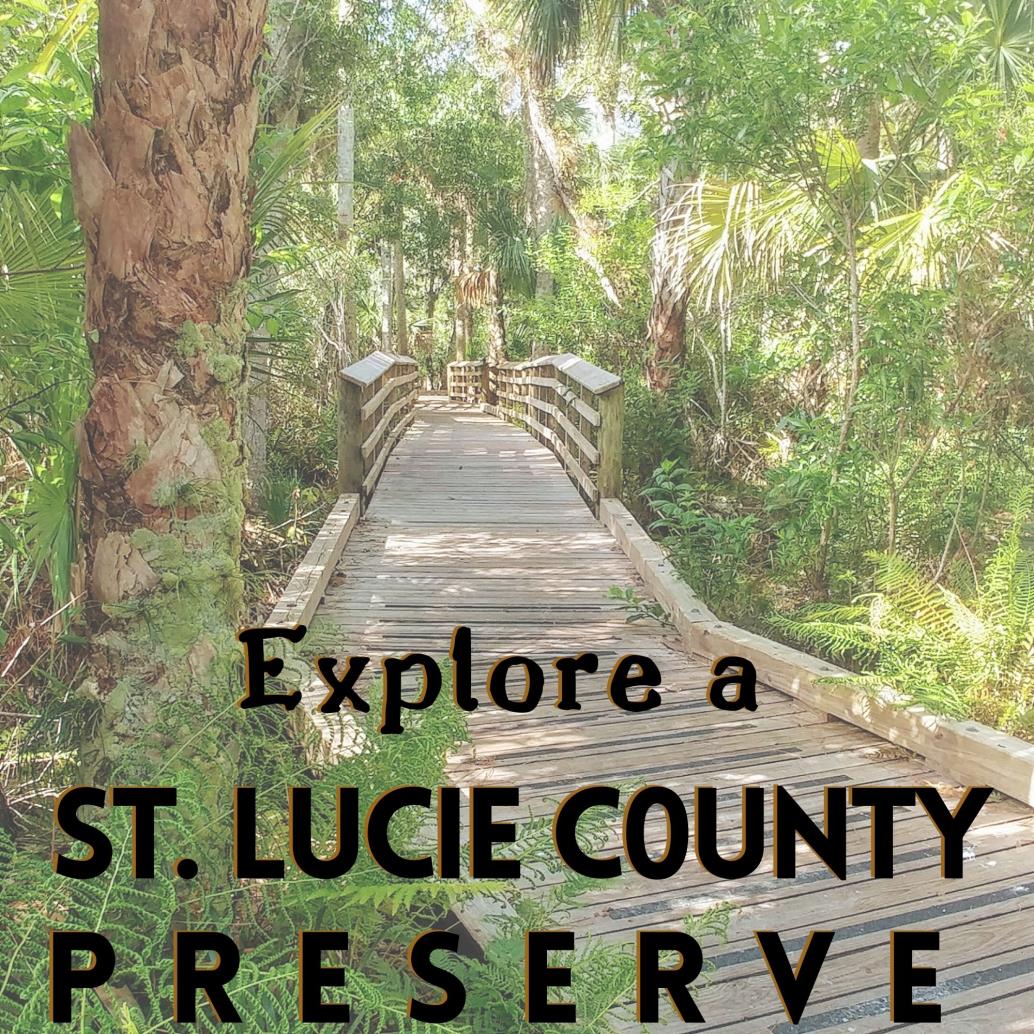 boardwalk through a forest, Text: Explore a St. Lucie County Preserve