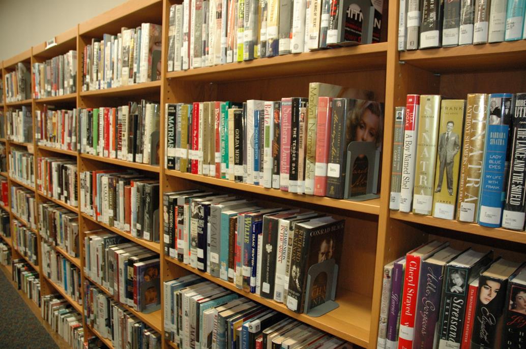 Library shelves LWP