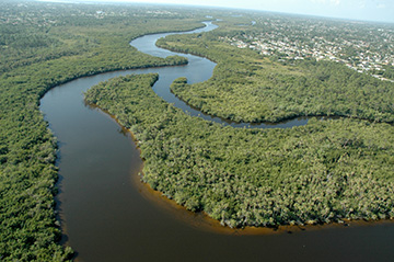 Aerial view of St. Lucie River