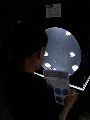 Aquarium after dark student looking at jellyfish display