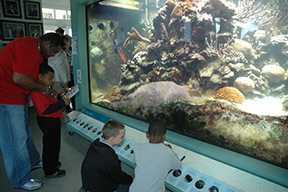 school group in front of the coral reef exhibit