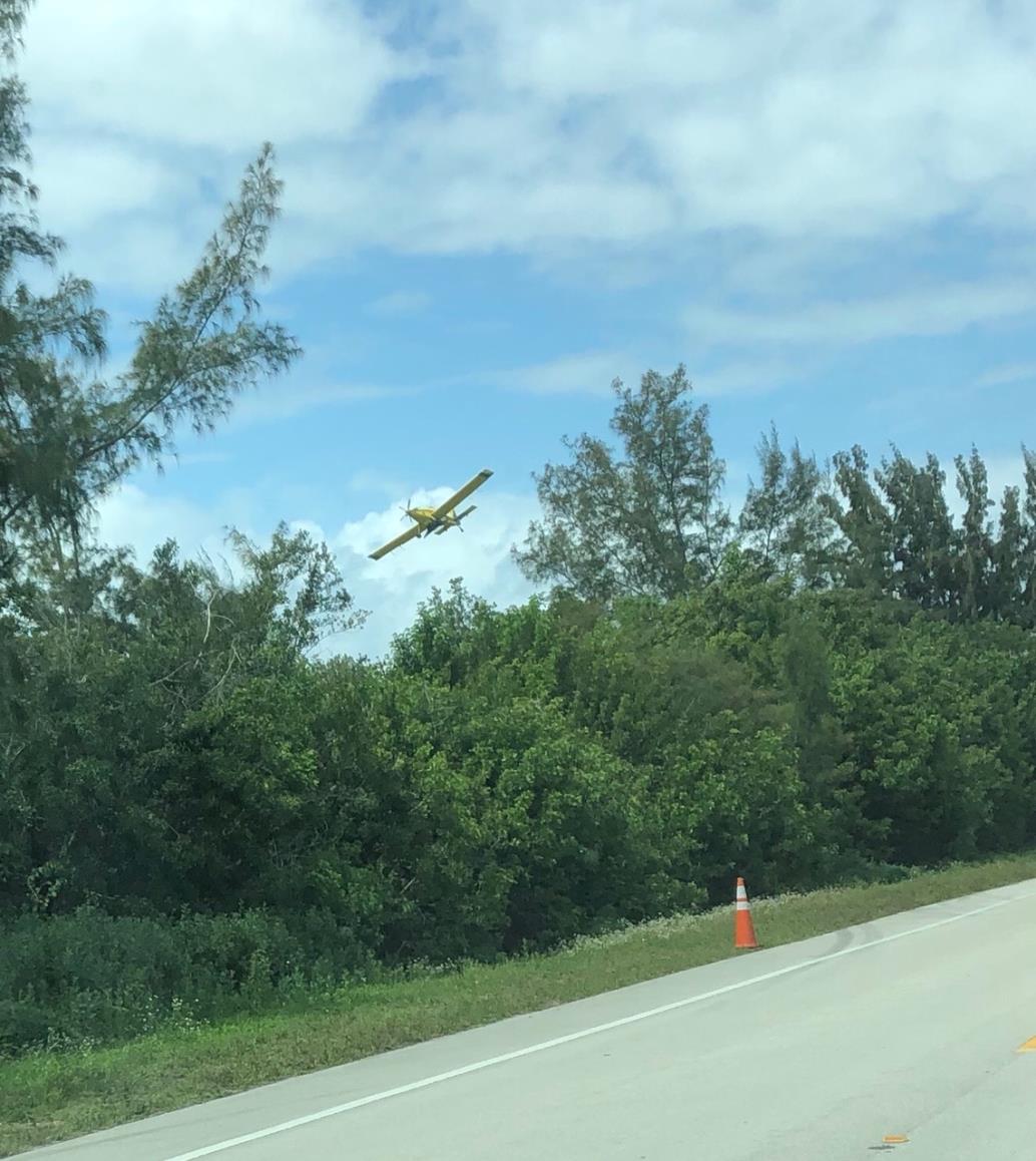 Mosquito control plane