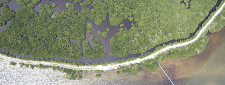 Drone view of trails and pier inside Bear Point