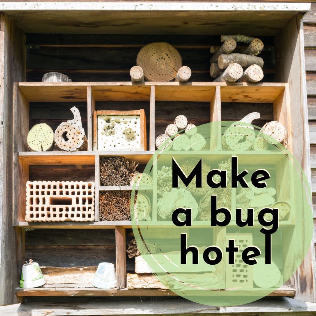 bug hotel