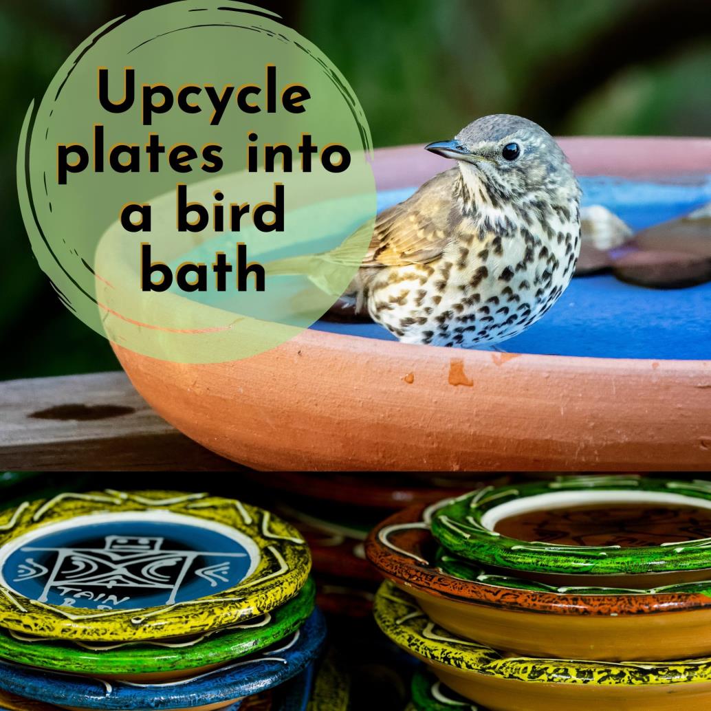 plates made into a bird bath