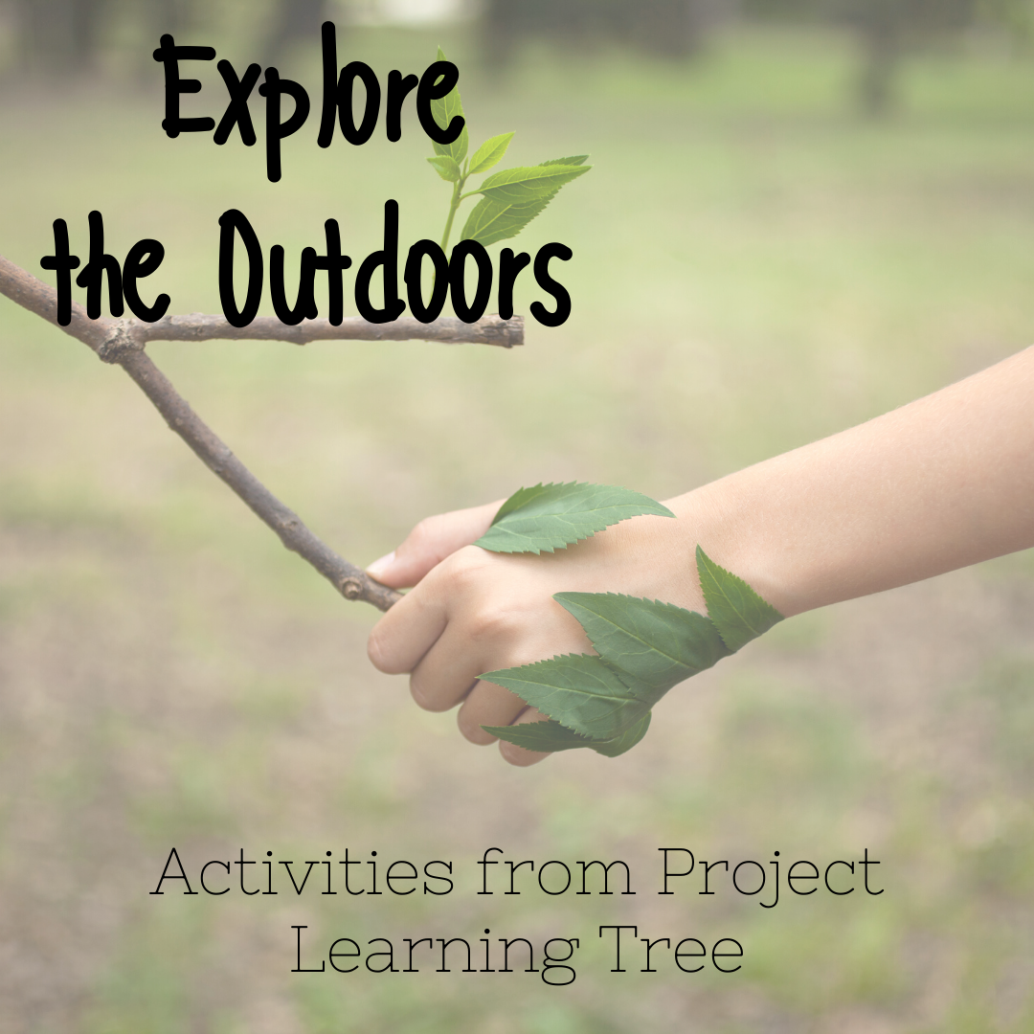 Photo of hand holding a branch, text: Explore the outdoors- activities from Project Learning Tree