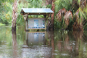 flooded preserve kiosik