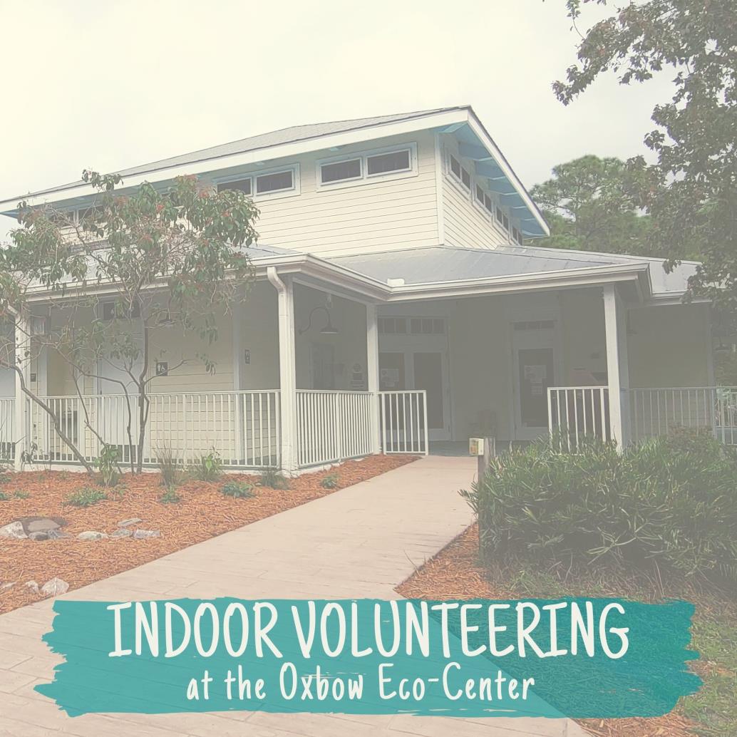 front walkway to the eco-center