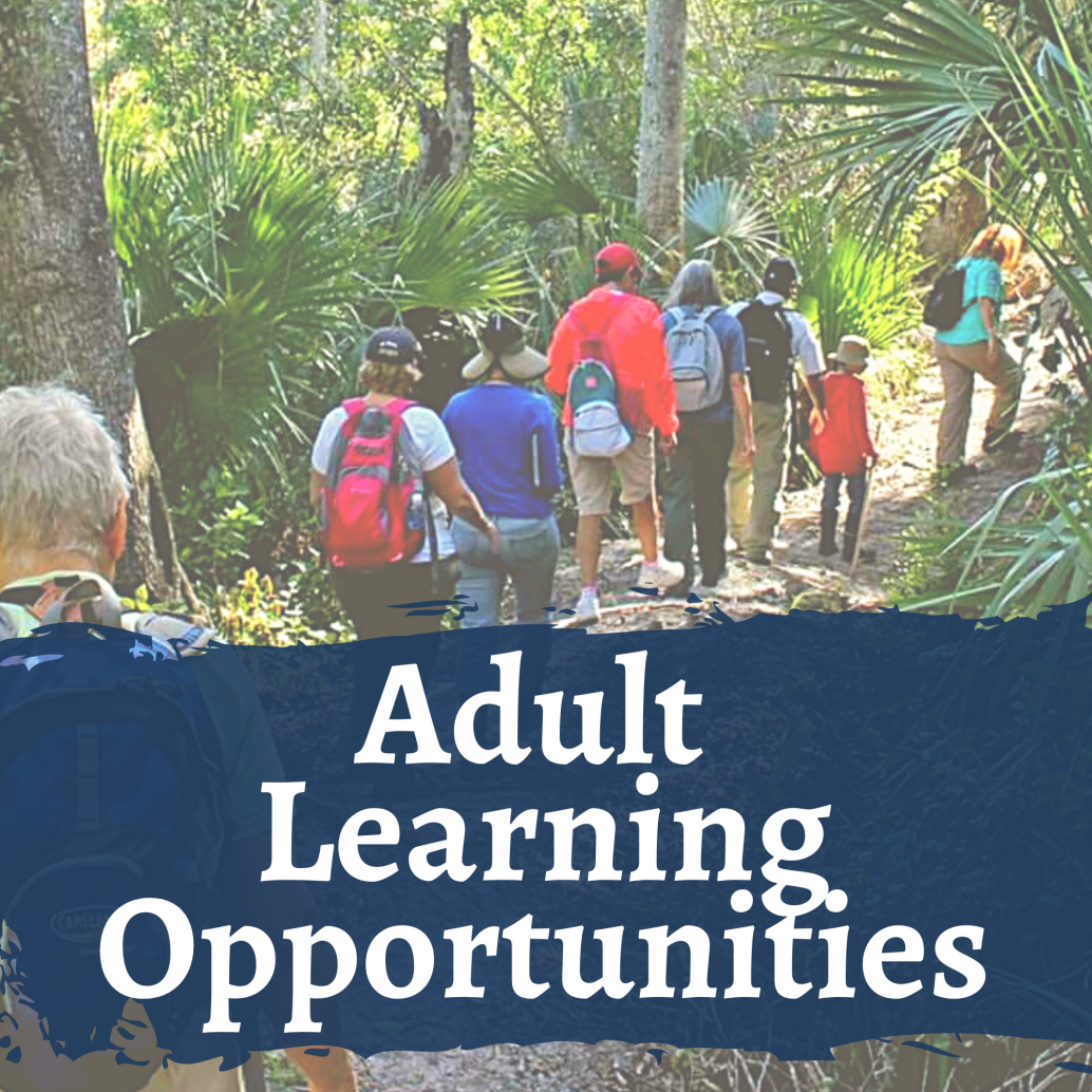 Adult Learning Opportunities