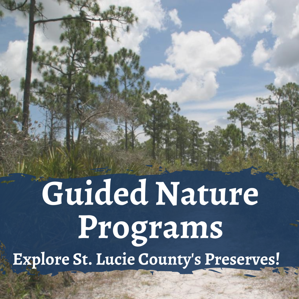 Guided Nature Programs. Explore St. Lucie County's Preserves!