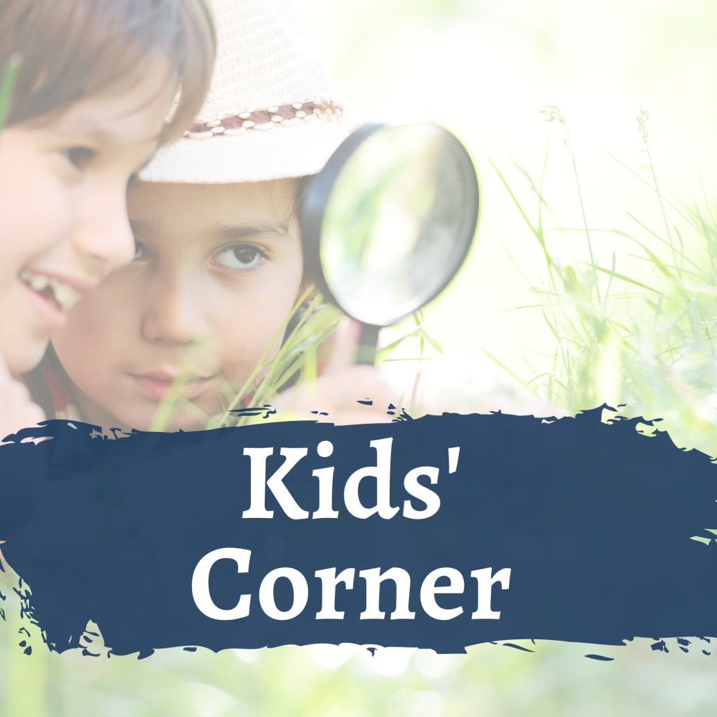 Kids' Corner