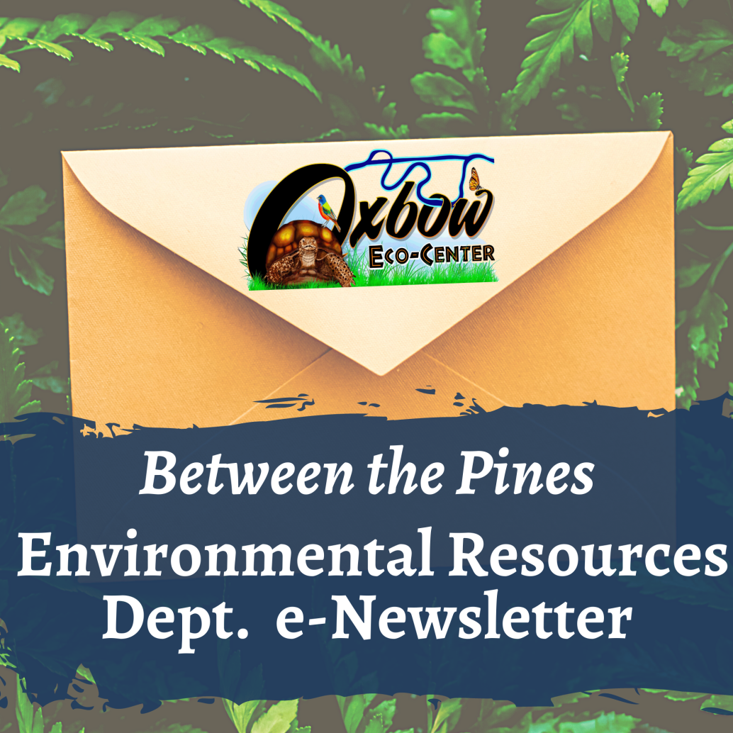 Between the Pines Environmental Resources Dept. e-Newsletter