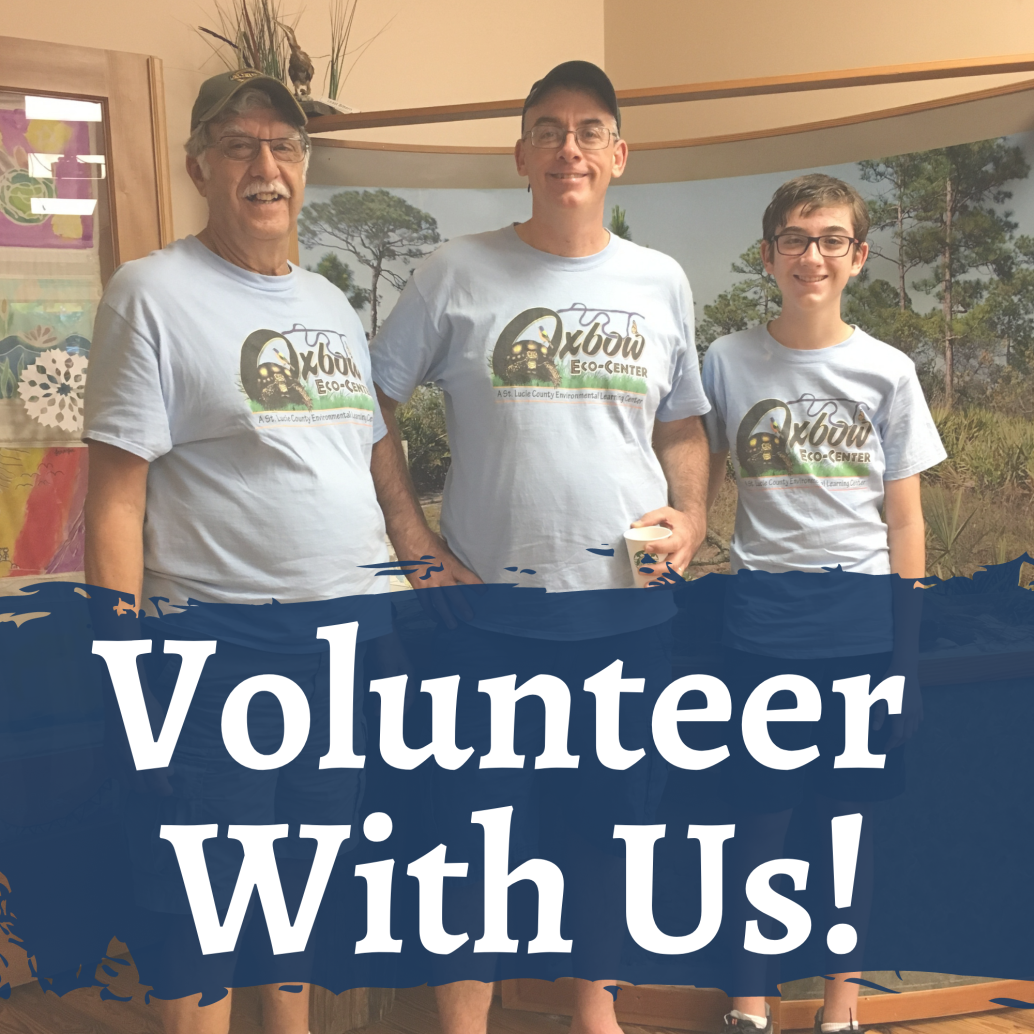 Volunteer with us!