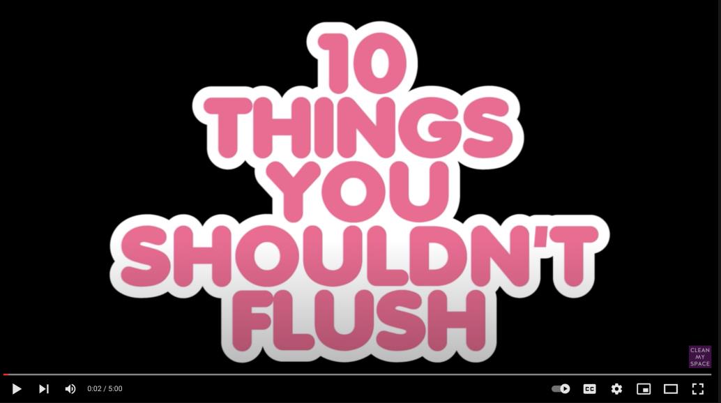 10 Things You Shouldn't Flush Youtube Video