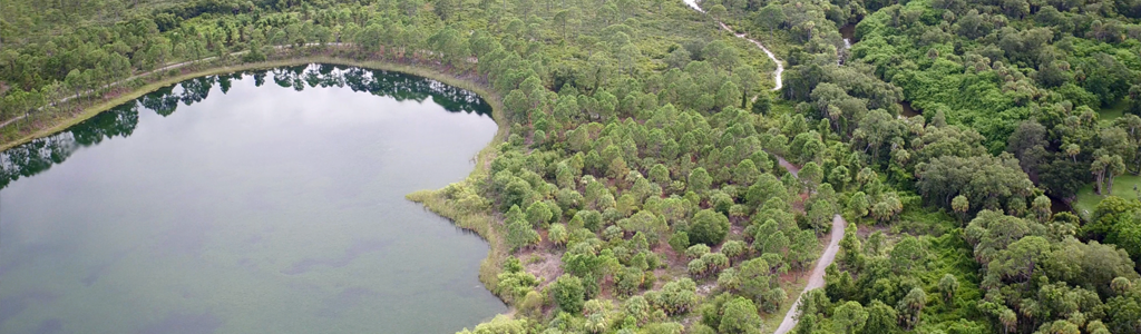 George Lestrange Preserve drone view