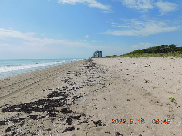 Dollman Beach Post-Construction (Looking South)