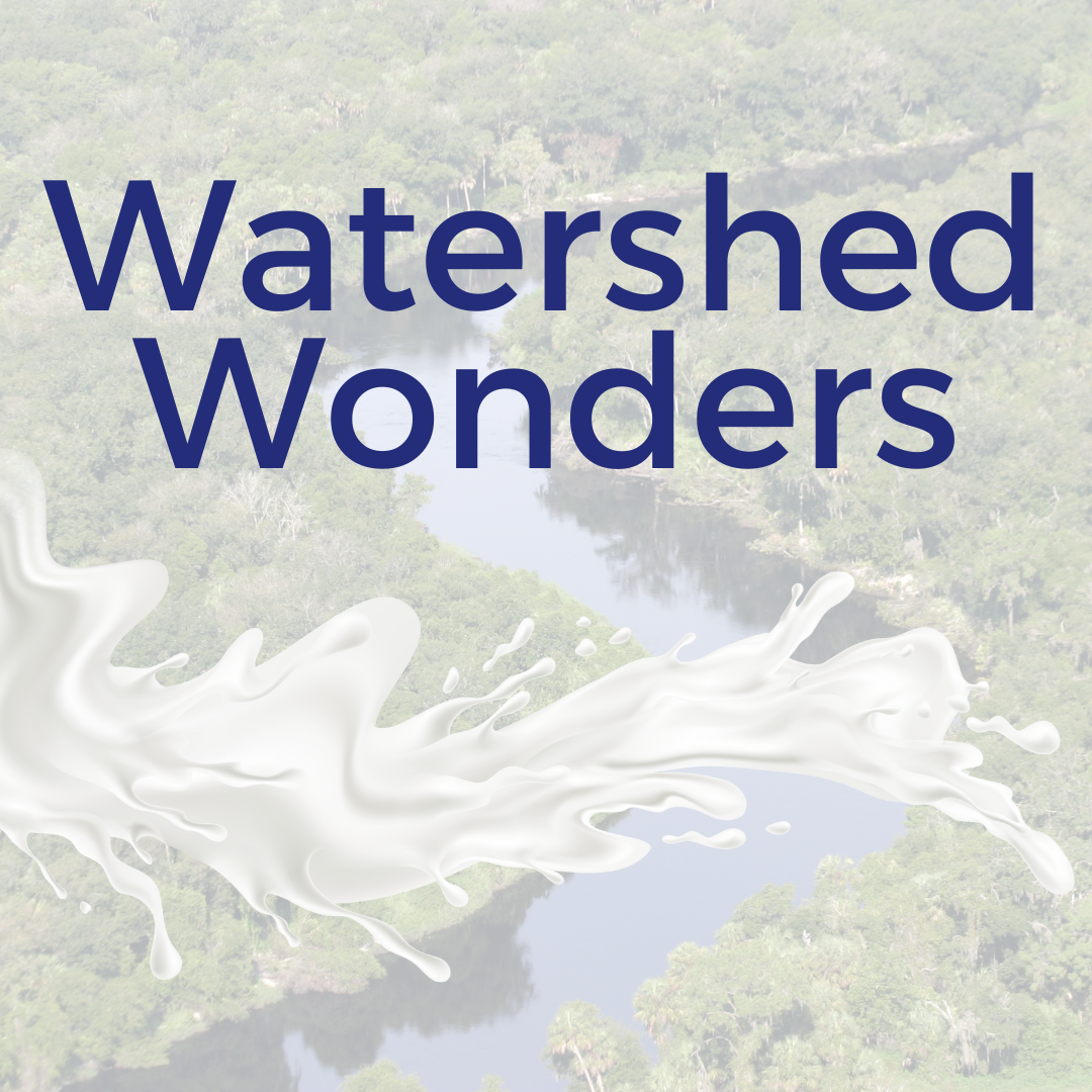 birds eye view of river and watershed logo with splash