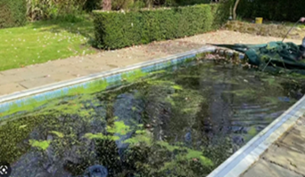 Unmaintained Swimming Pool