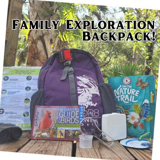 purple backpack ona boardwalk with books