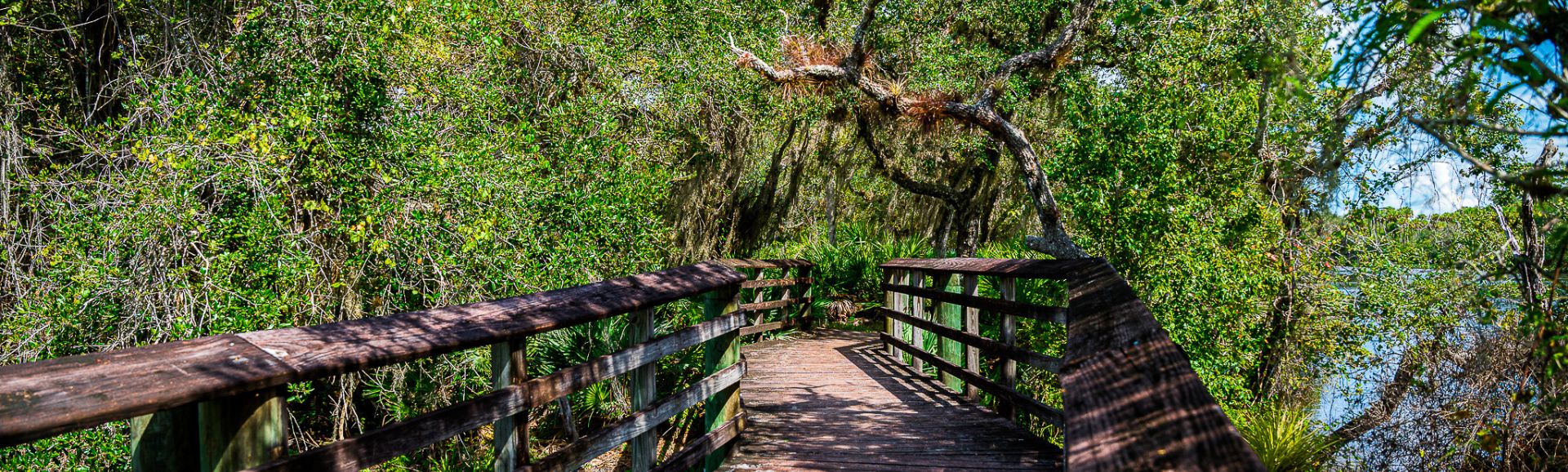 Boardwalk trail