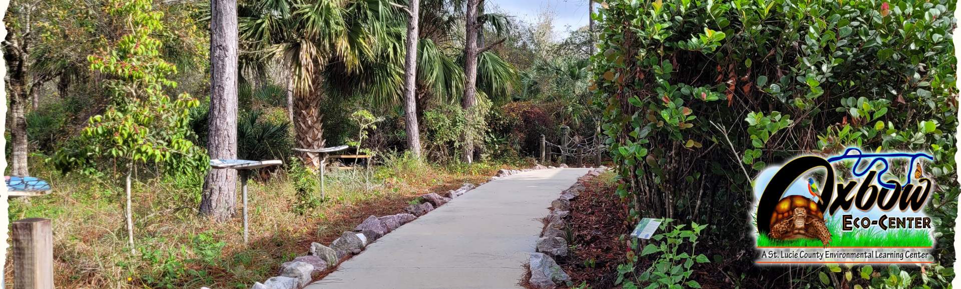 a concrete walkway in the garden