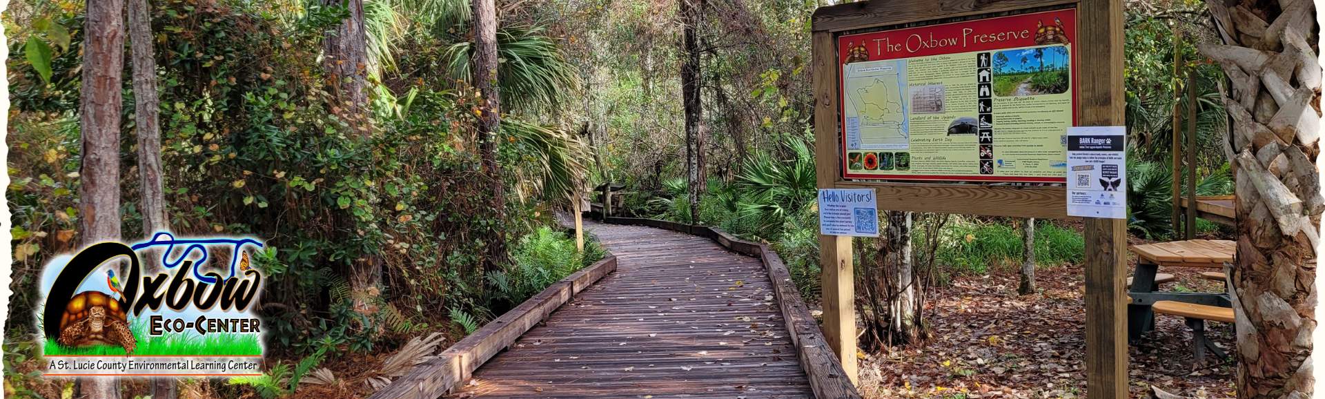 boardwalk through trees