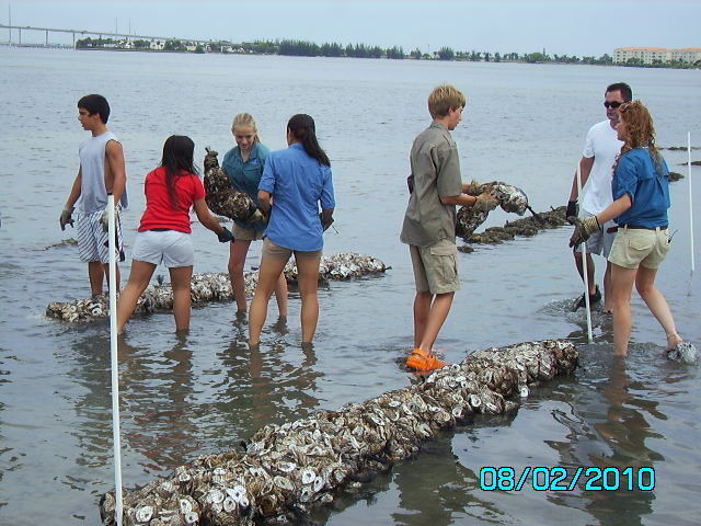 oyster_reef_restoration_1