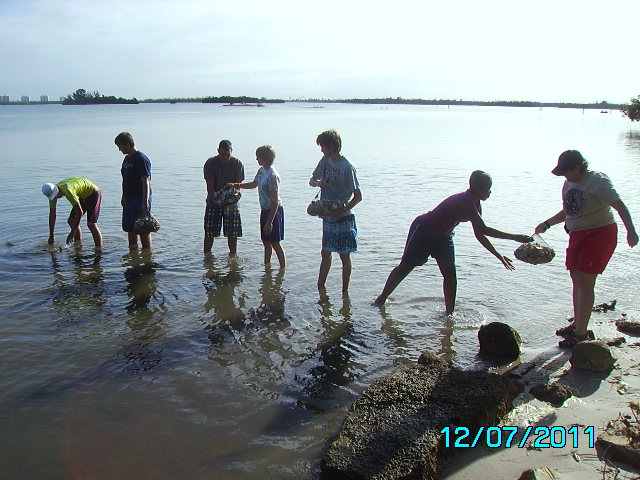 oyster_reef_restoration_2