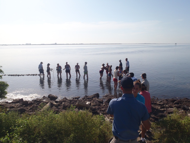 oyster_reef_restoration_3