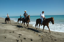 horses_on_beach